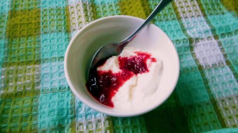 Homemade Lactose Free Yogurt At The Immigrant S Table