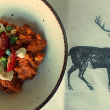 A bowl of red lentil stew with a deer on it.