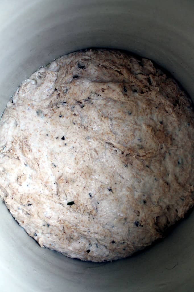 fermenting dough for rosemary sourdough bread