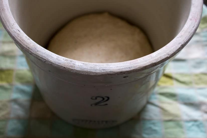 Rising dough for sourdough focaccia