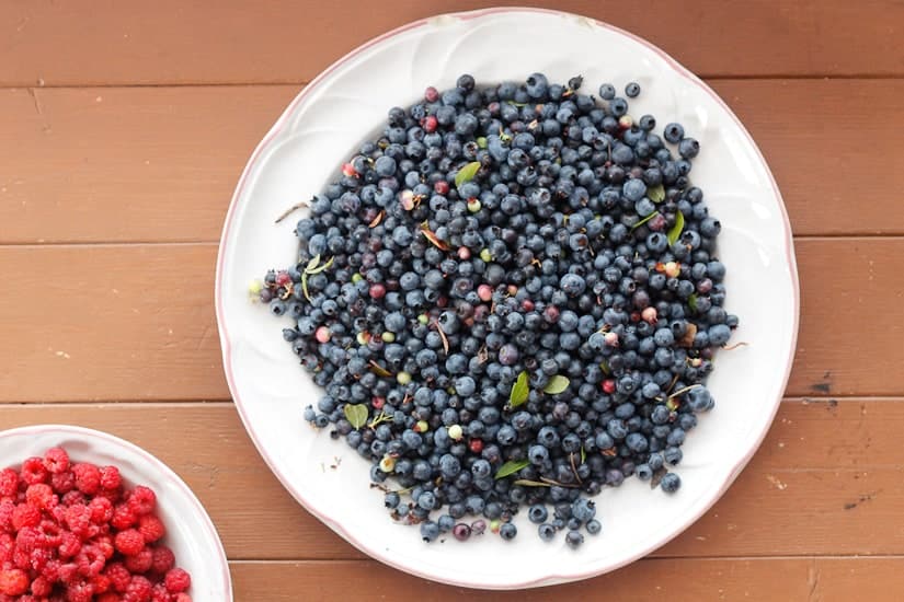 wild berry galette 2