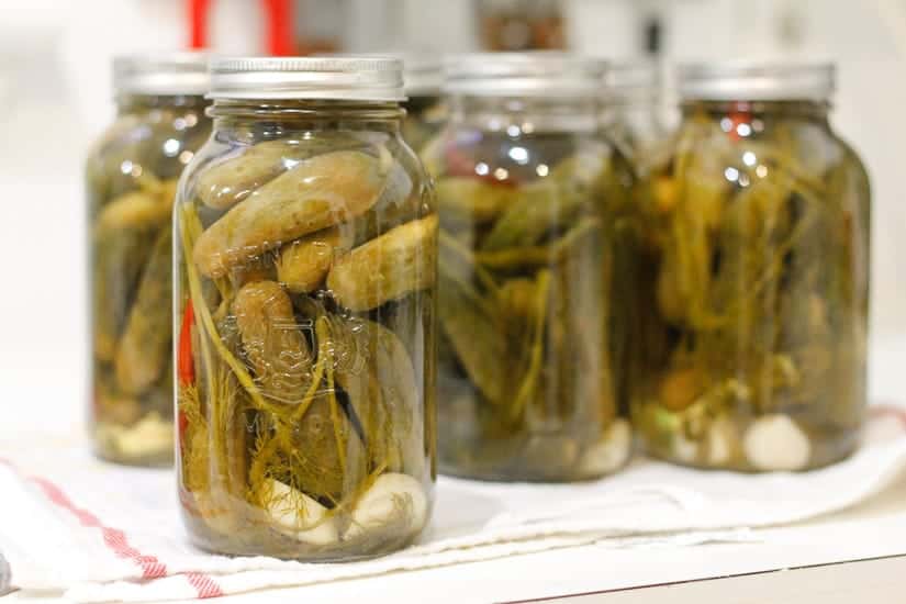 Spicy garlic dill pickles 13
