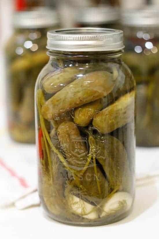 Spicy garlic dill pickles 14