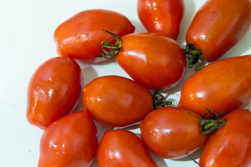 Making and canning tomato sauce… with a food mill! - Shiny Happy World