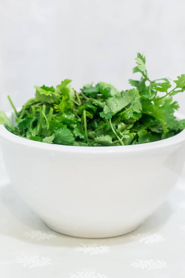 Cilantro pesto [freezable]