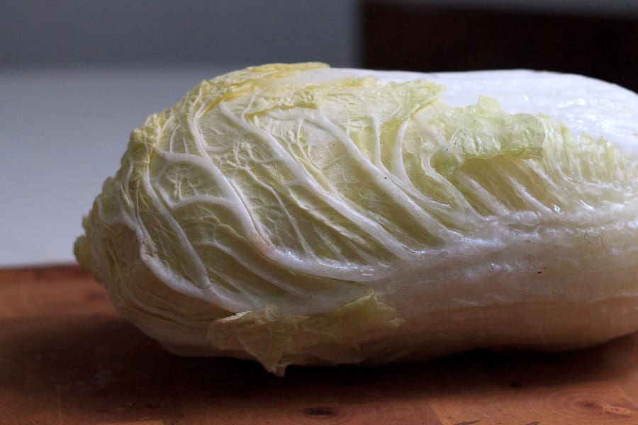 Napa Cabbage Shredded