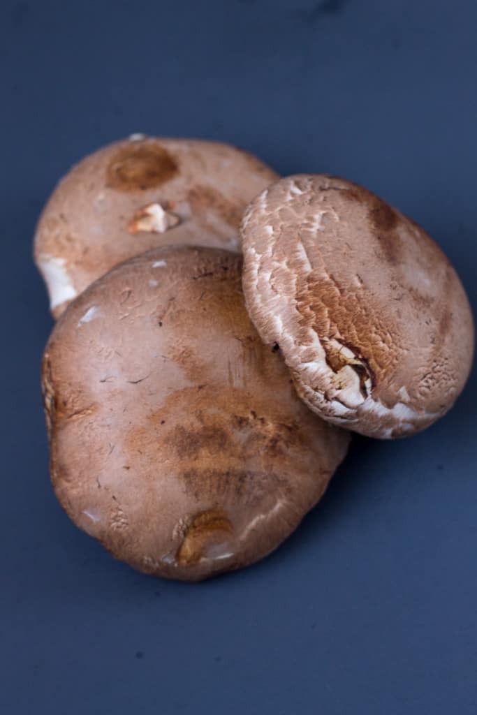 Portobello mushroom burger