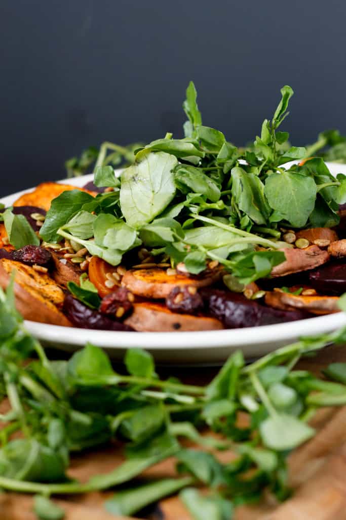 Blog151_Img1_Sweet potato and beet salad with watercress and salad topper lite