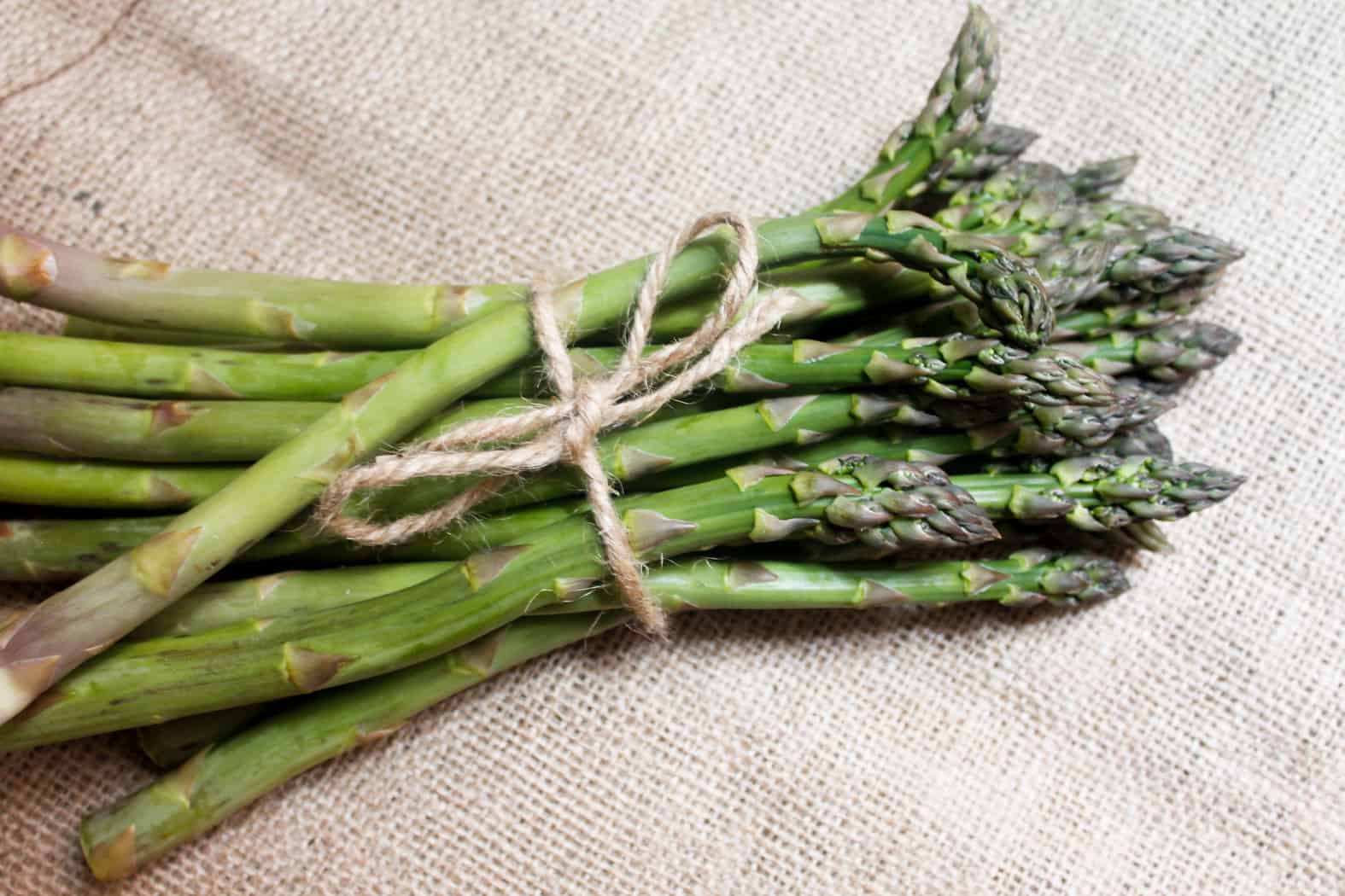 A taste of springtime in Montreal: a light spring picnic with buckwheat crepes with asparagus, chermoula and spicy eggplants, and Argentinian yerba mate.