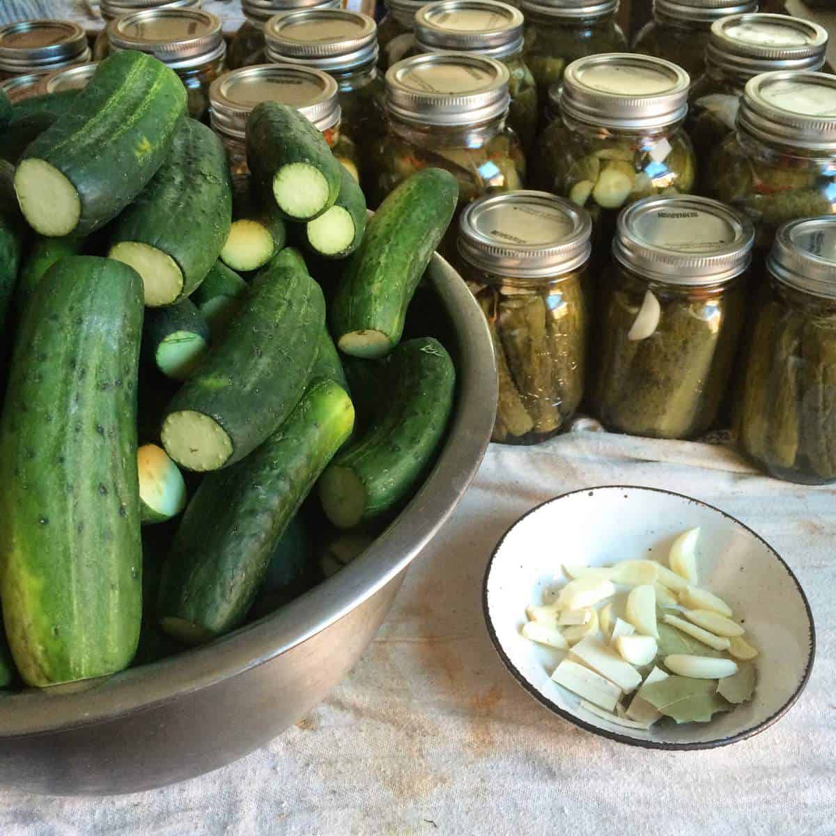 Canning Pickles: Beware of the potential dangers!