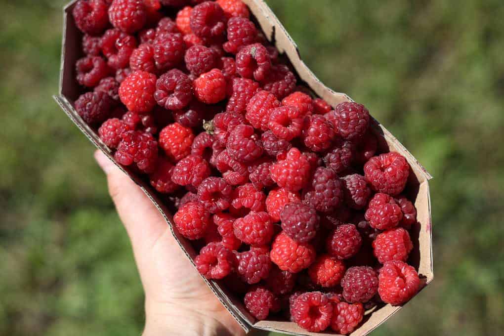 Clean raspberry preserves