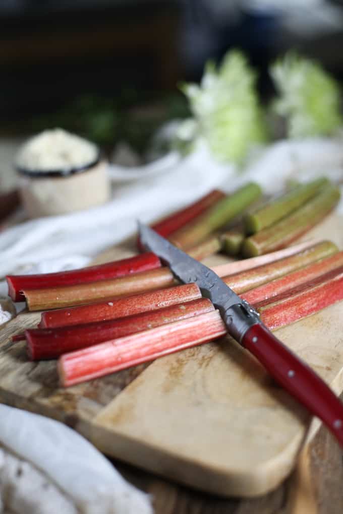 Paleo honey rhubarb tart {GF, P}