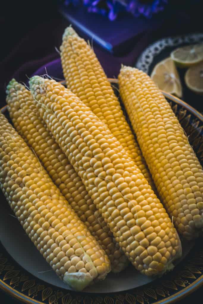 corn, close up