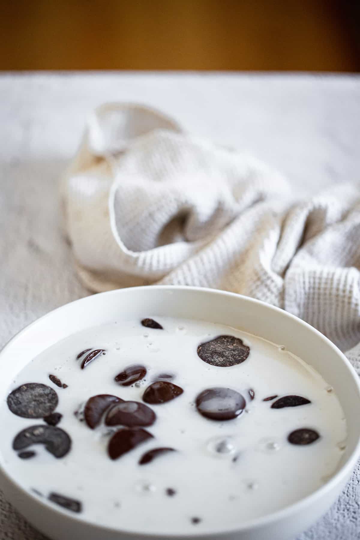 chocolate and coconut milk in bowl