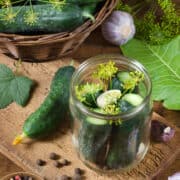 Preparation for pickling cucumbers with spices and herbs. Top view. Сlose-up. Rustic style.
