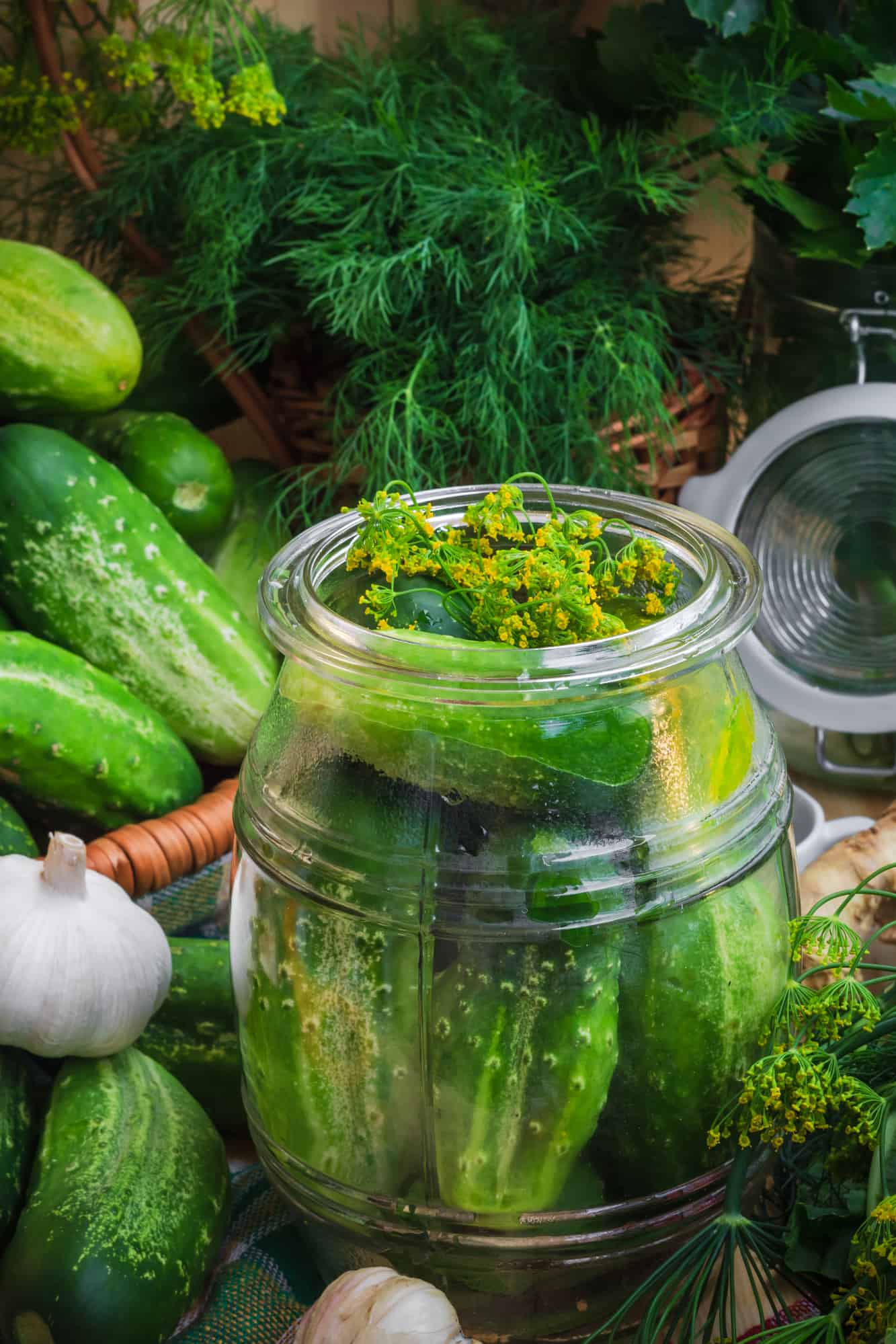 Jar of pickles and other ingredients for pickling.