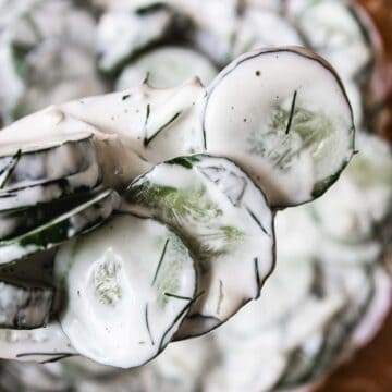 Close up on a forkful of cucumber salad.