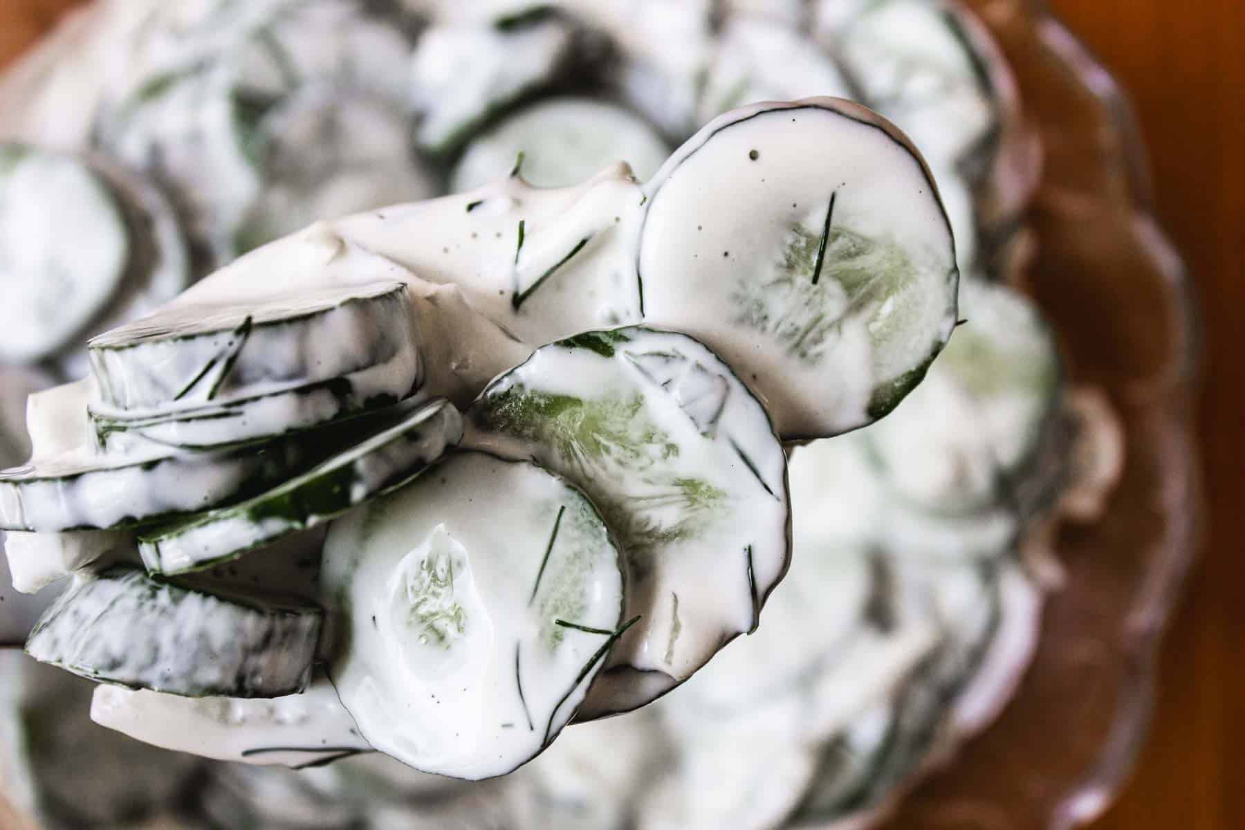 Close up on a forkful of cucumber salad.