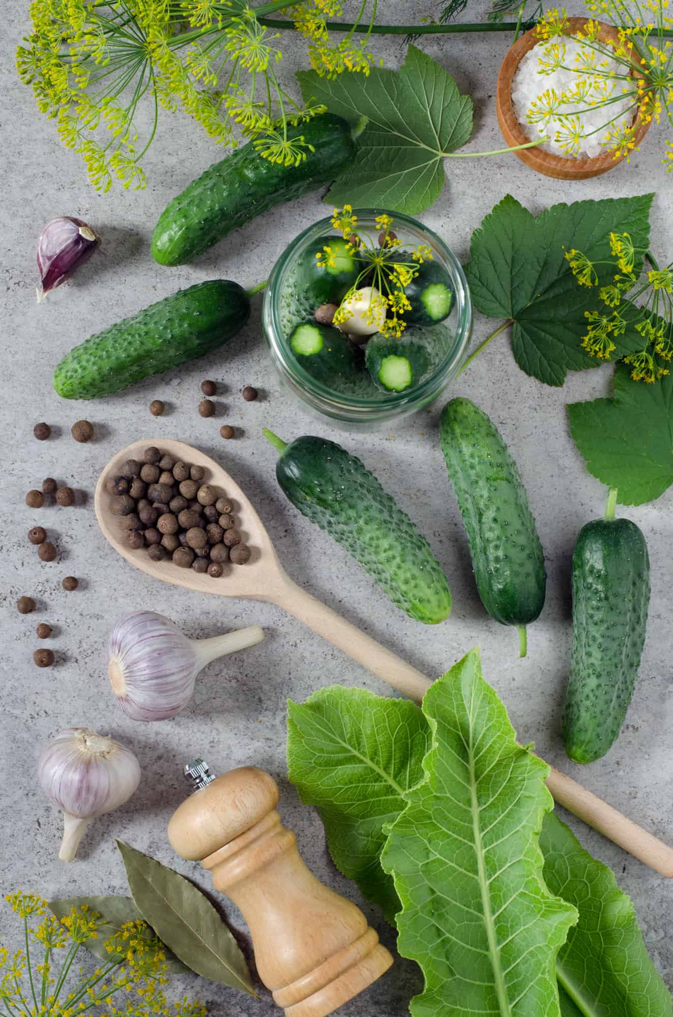 A variety of herbs and vegetables, including fermented pickles, are arranged on a concrete background.