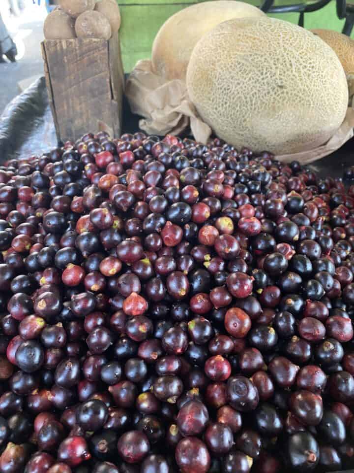pile of corozo fruit