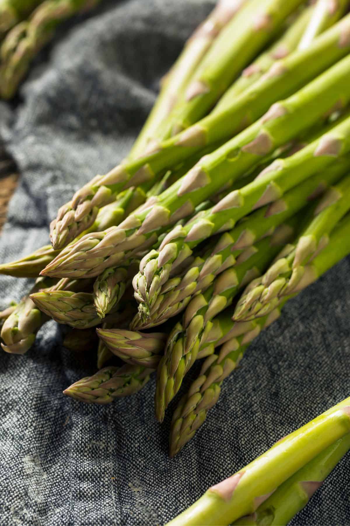 A bunch of fresh asparagus stalks ready for Asparagus Recipes on a dark fabric surface.