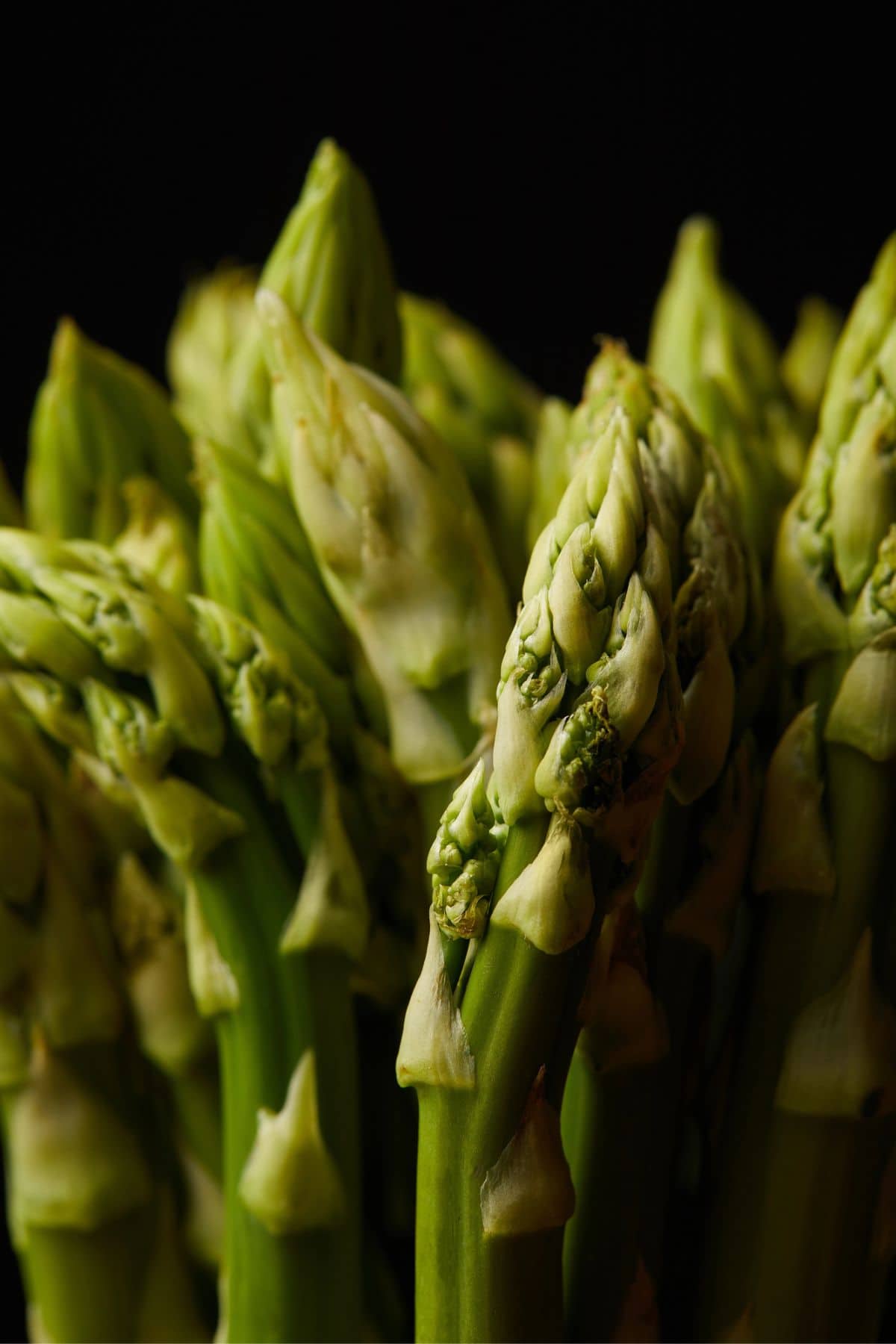 A close-up photo of fresh green asparagus spears against a dark background, ideal for asparagus recipes.