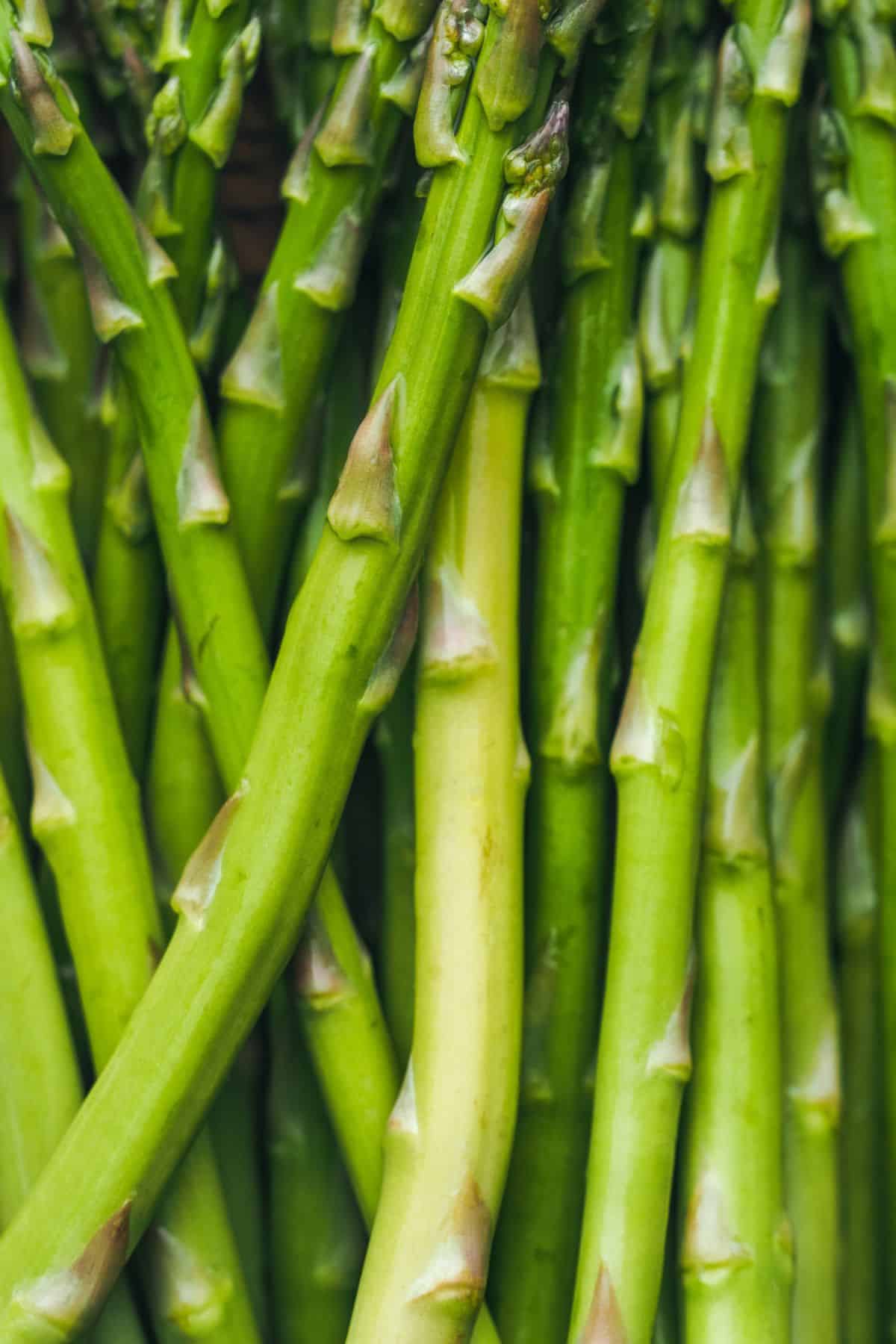 Close-up of a bundle of fresh green asparagus stalks ready for cooking.