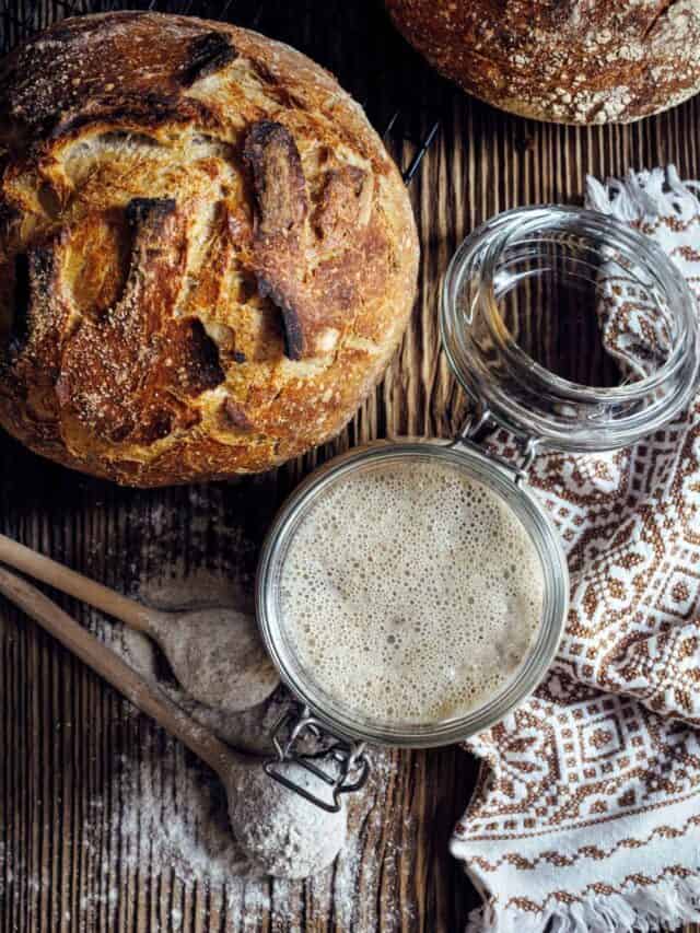 Making A Sourdough Starter