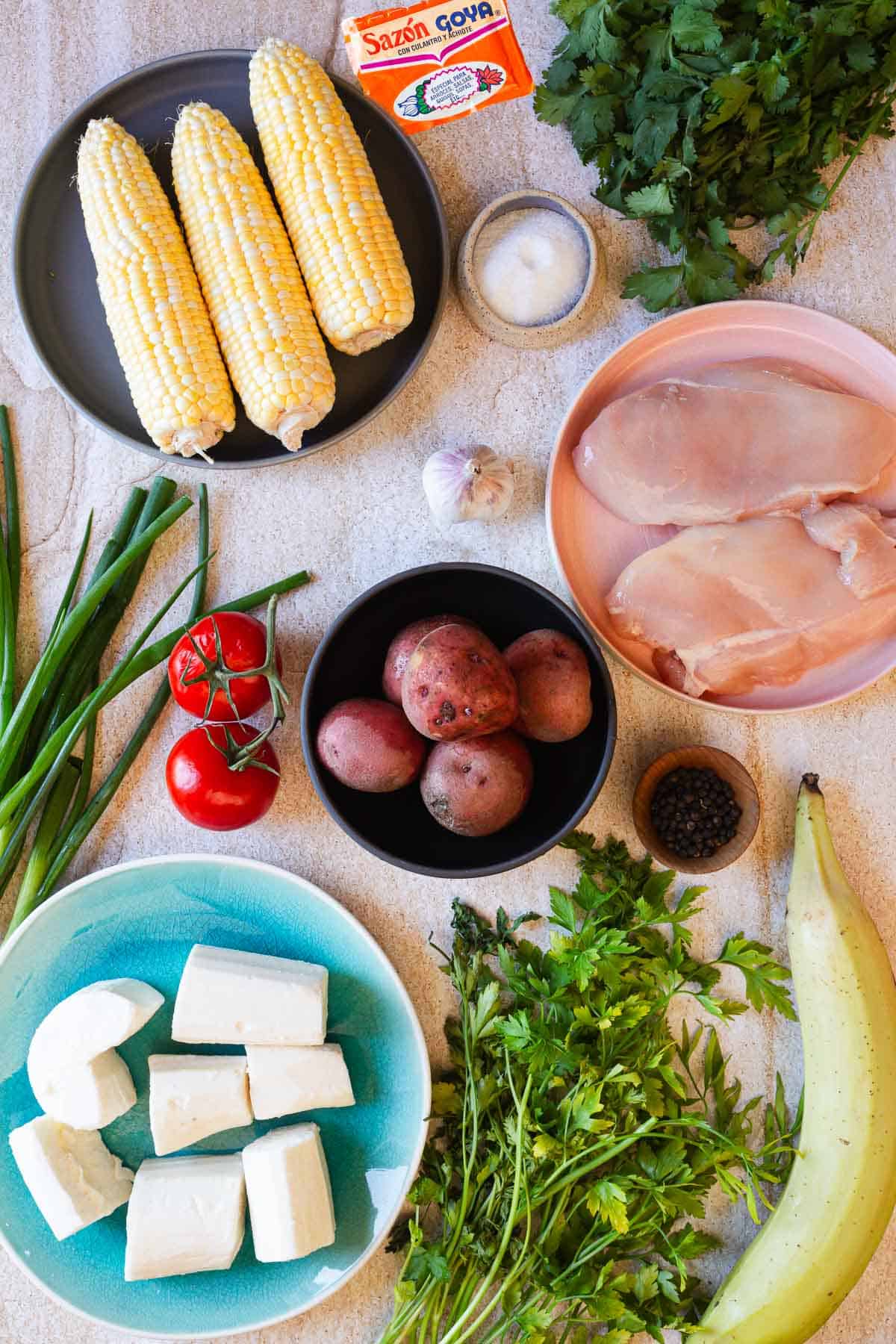 ingredients for chicken sancocho are displayed on a countertop, including corn on the cob, chicken breasts, potatoes, cheese, green onions, tomatoes, garlic, herbs, a plantain, and spices.