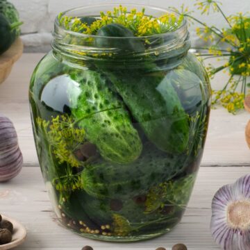 A jar filled with pickles sits on a wooden surface surrounded by ingredients for pickling, including garlic cloves, black peppercorns, and coarse salt. Fresh cucumbers, dill, and a wooden bowl of cucumbers are also visible in the background—an homage to grandpa's recipes that'll have you begging for more.