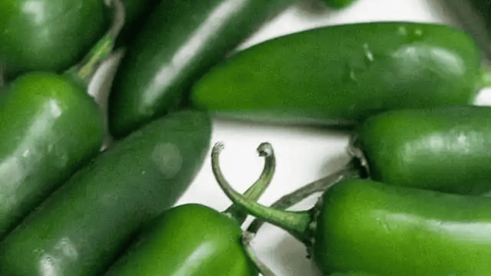 Close-up image of several green jalapeño peppers on a white surface. The peppers vary slightly in size and shape. Two peppers in the center have their stems intertwined. The surface of the peppers is smooth and glossy.