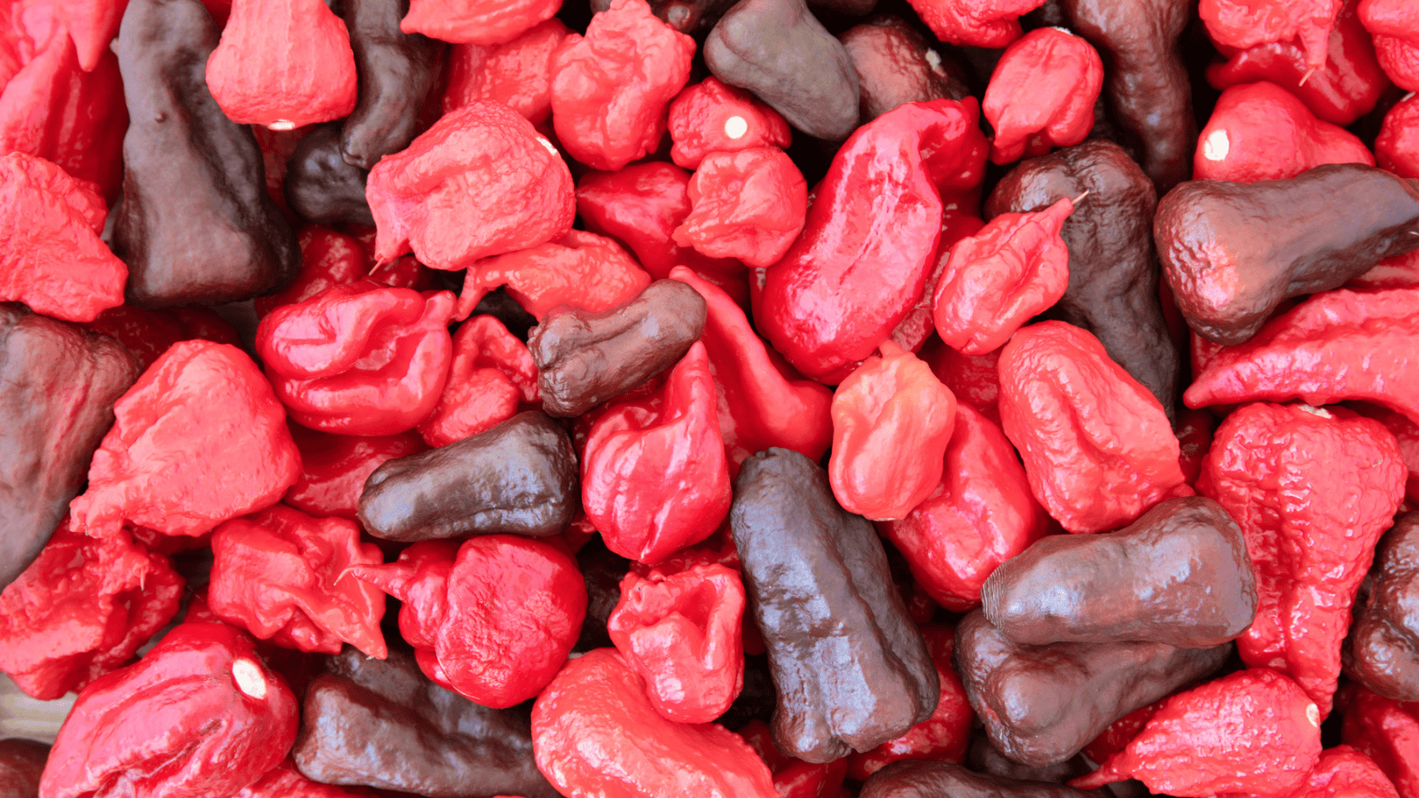 Close-up of a pile of red and brown chili peppers in various shapes and sizes. The red chili peppers dominate the image, interspersed with fewer brown ones. Some chilies have visible seeds and glossy surfaces.