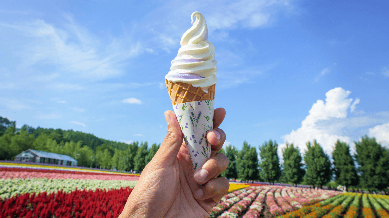 A hand is holding a soft-serve ice cream cone with a scenic background of a colorful flower field and a clear blue sky. The cone has a decorative wrapper, and there are trees and a house in the distance.