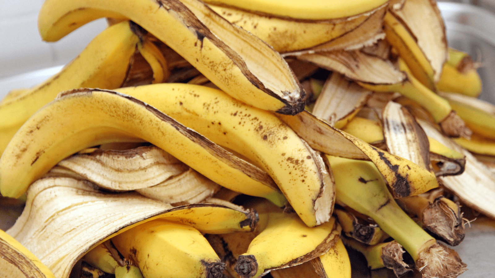 A large pile of banana peels stacked on top of each other. The peels are mostly yellow with some brown spots and blemishes, indicating the bananas were ripe. The background is a neutral, out-of-focus setting.