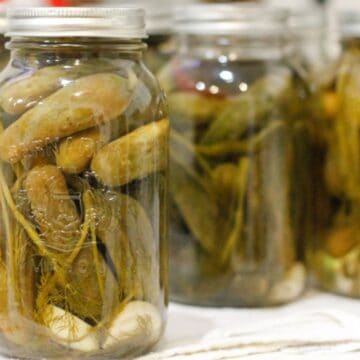 Several jars of homemade pickles are arranged on a white surface, each brimming with pickles, garlic cloves, and dill. The jars, sealed with metal lids and resting on a white cloth, look like they came straight from Grandpa's recipes—bound to have you begging for more.