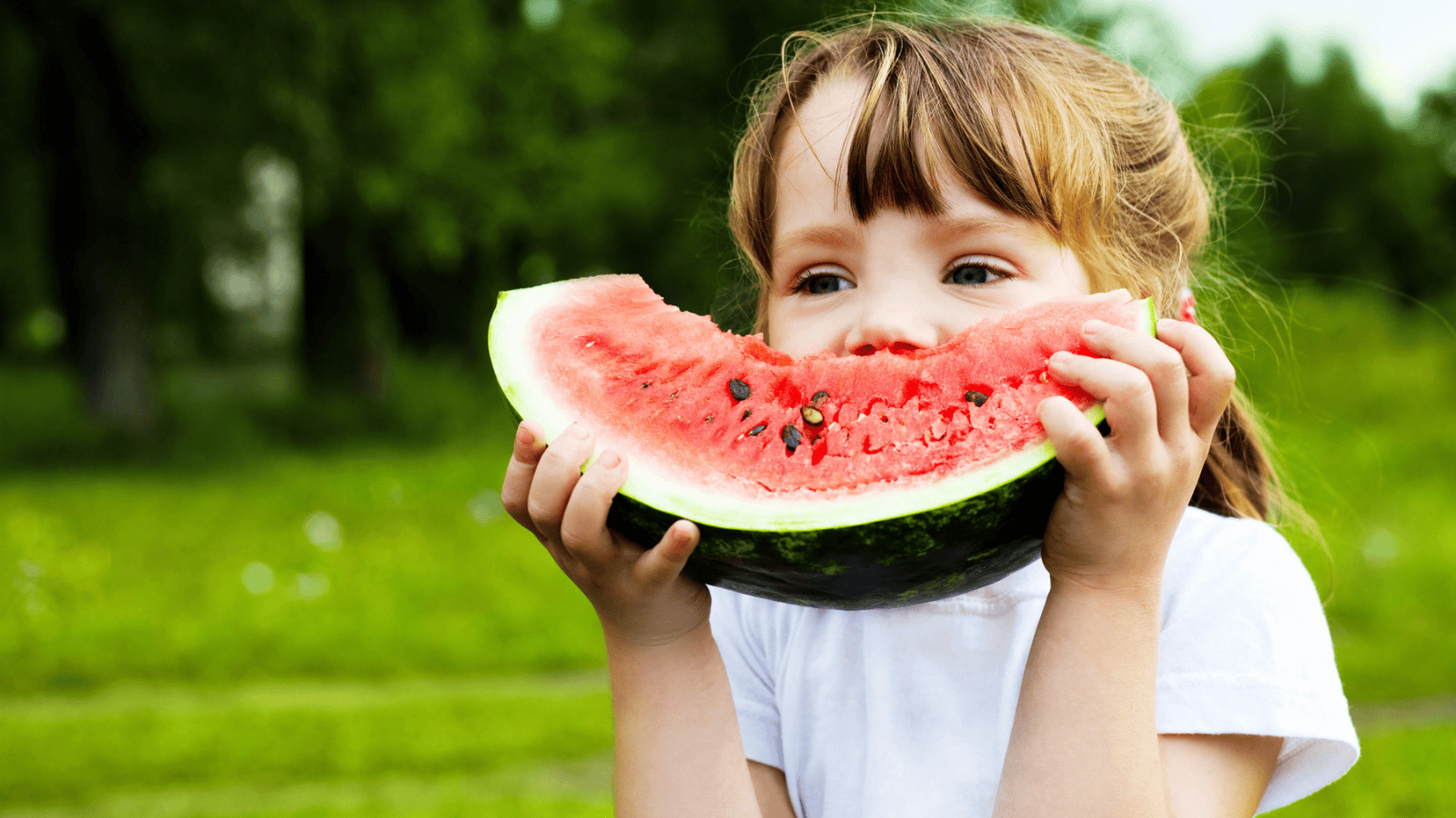 A young child with light brown hair holds a large slice of watermelon with both hands, taking a bite. The child is standing outdoors on a grass field, with trees in the background, wearing a white shirt.