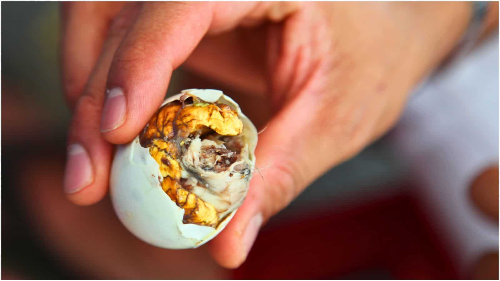 A close-up photo shows a hand holding a partially peeled balut egg, revealing the developing duck embryo inside with visible feathers and a beak. As one of the iconic street foods around the world, this delicacy often intrigues every traveler who encounters it. The egg's shell is cracked open, partly exposing its contents.