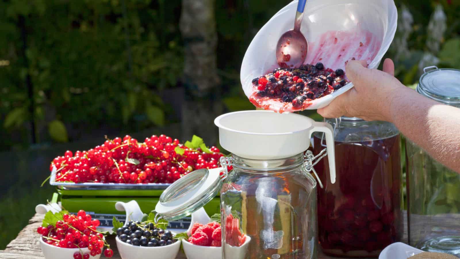 A person pours a bowl of mixed berries into a jar through a funnel. The table also holds more bowls of red and dark berries, as well as glass containers filled with a red liquid. The scene suggests preparation of a berry-based preserve.