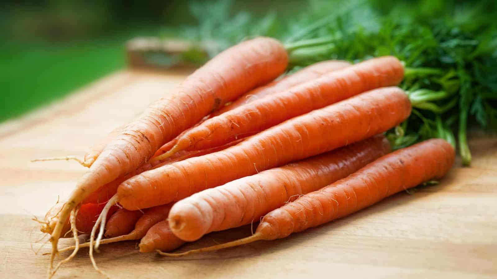 Close-up of carrots on a table