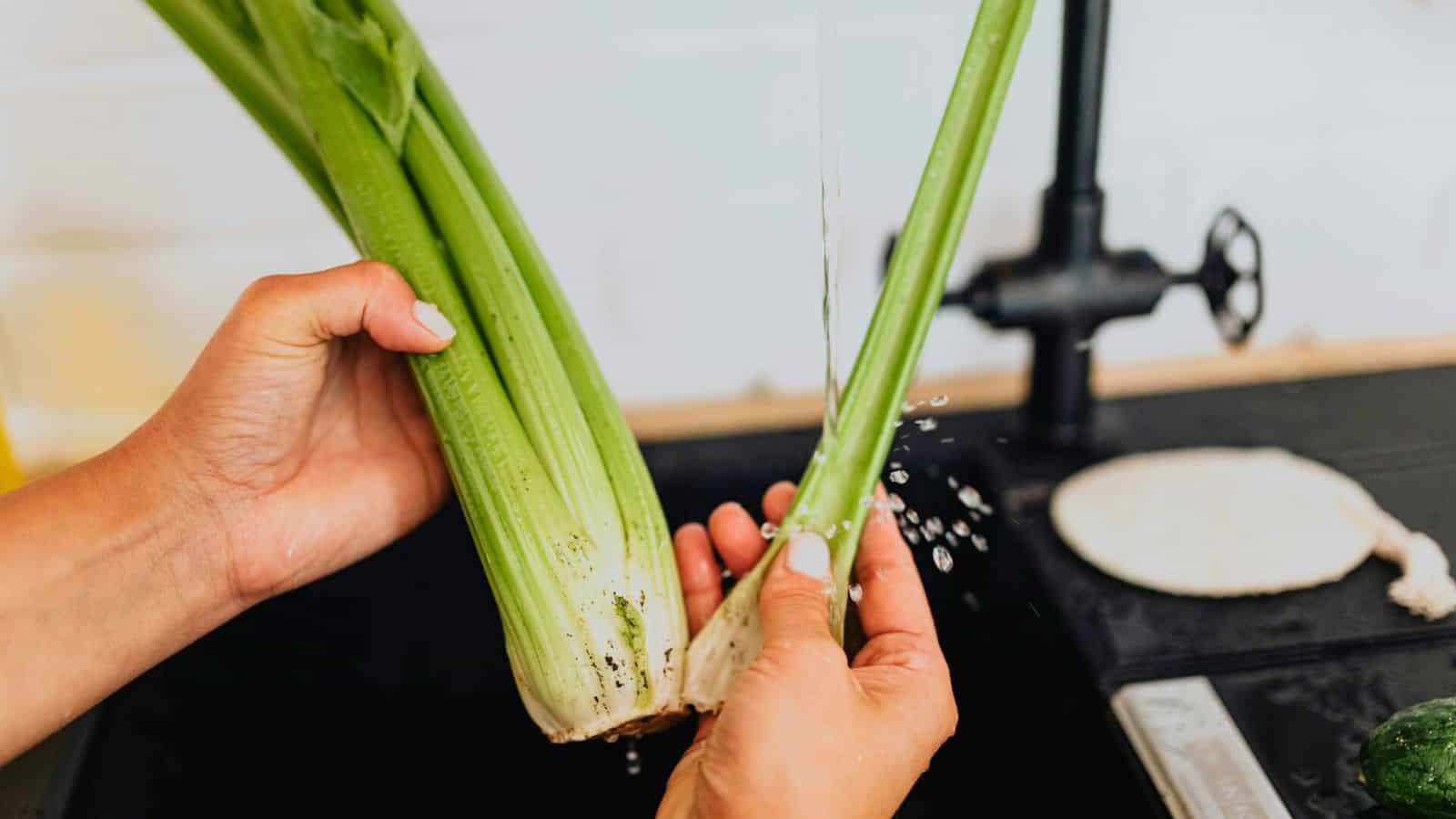 Two hands are holding and washing fresh celery under running water from a faucet. The celery has some dirt on it, indicating it is being cleaned before use. In the background, a kitchen counter and a white wall set the scene.