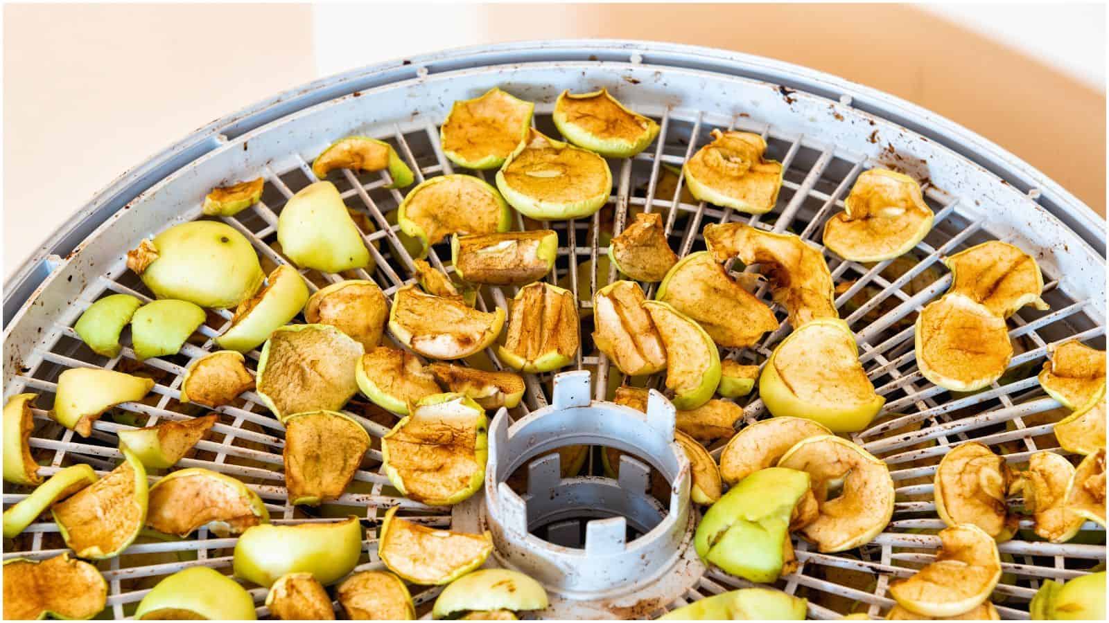 A round food dehydrator tray is filled with sliced apple chunks in various stages of browning and drying. The tray's grid pattern allows airflow, and the apples are arranged in a single layer. Some slices appear more dried than others.