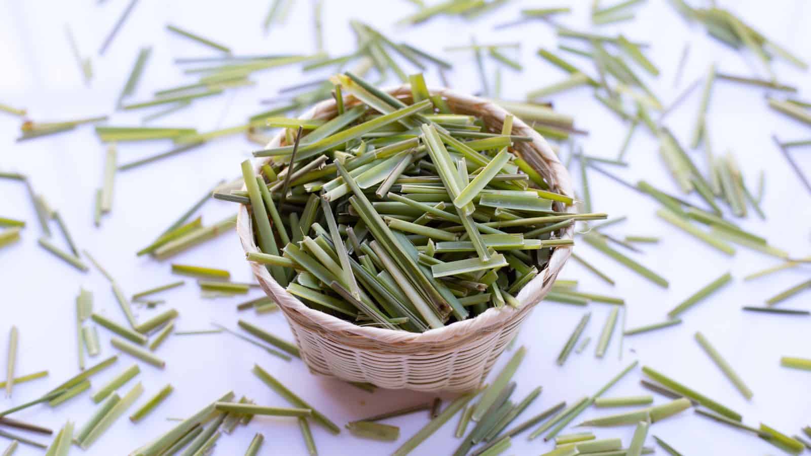 A small wicker basket filled with chopped lemongrass sits on a white surface, scattered pieces around it hinting at their green and yellowish hues.