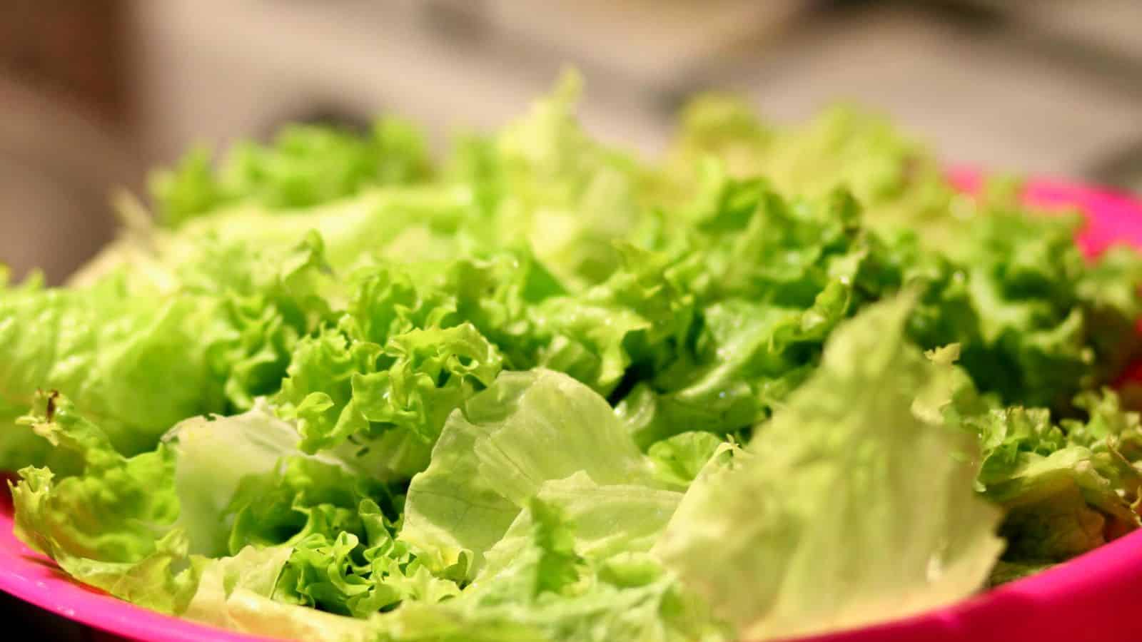 A close-up photo of a bowl of mixed green lettuce leaves evokes freshness. Housed in a pink bowl, the vibrant greens stand out against a blurred indoor backdrop.