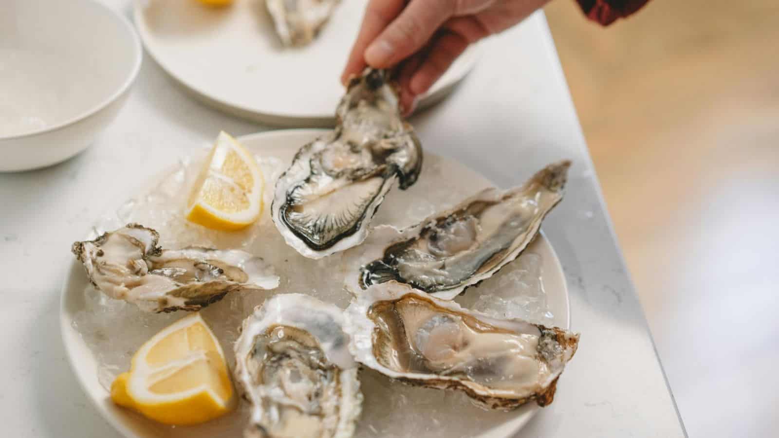 Person holding a piece of oyster from a plate of oysters