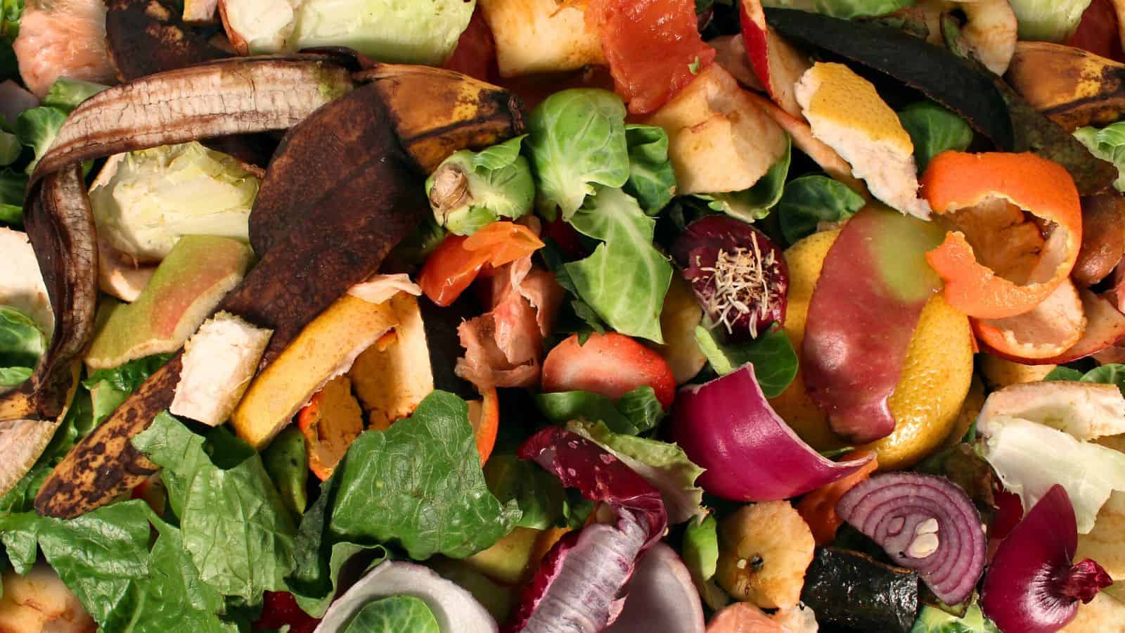 A close-up of a pile of food scraps including wilted lettuce, banana peels, onion skins, citrus rinds, and other vegetable and fruit peels. The items are varied in color and texture.