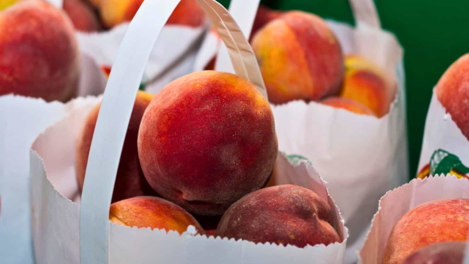A close-up image of several peaches in white paper bags. The peaches, perfect for learning how to freeze peaches, exhibit a mix of red, orange, and yellow hues with fuzzy skin. The bags are filled and arranged closely together against a blurred green background.