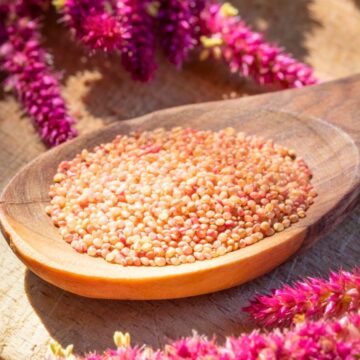 A wooden spoon filled with small, round amaranth seeds sits on a wooden surface. Surrounding the spoon are vibrant pink clusters of amaranth flowers. The background is softly blurred, emphasizing the texture and color of the seeds and flowers.