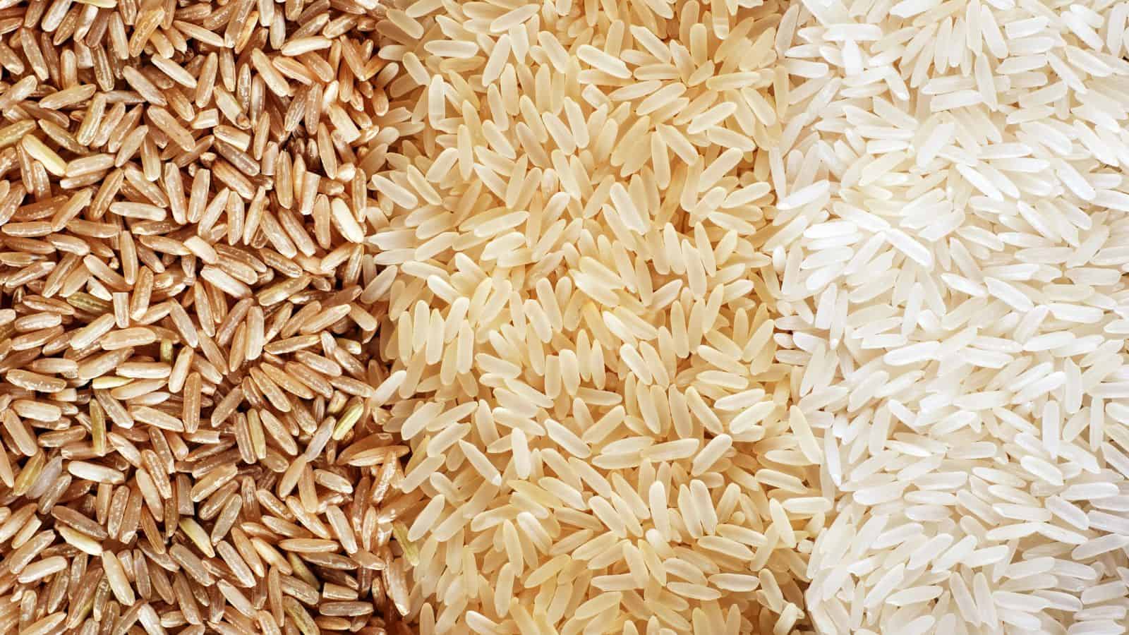 Close-up image of three types of rice. From left to right: brown rice, parboiled rice, and white rice. The grains are neatly arranged in three vertical sections, showcasing their distinct colors and textures.