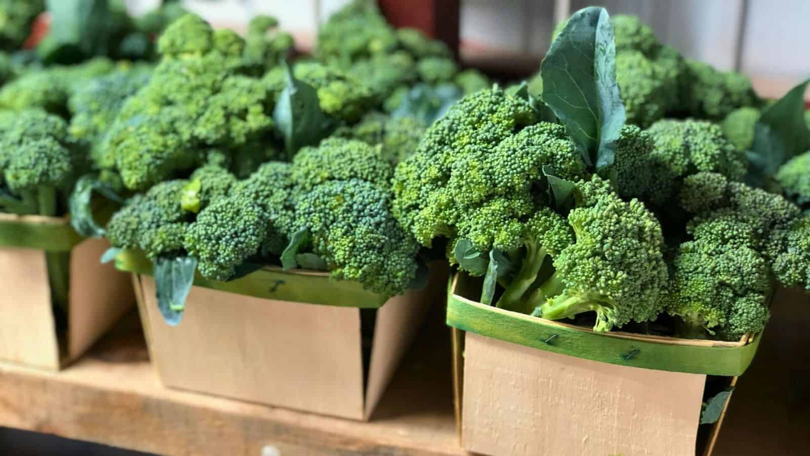 Close-up photo of several wooden baskets filled with fresh green broccoli on a wooden shelf. The broccoli heads are dense and vibrant, with some leaves still attached.