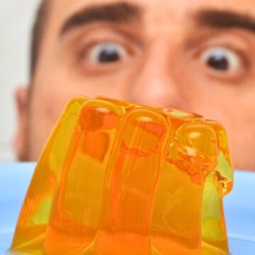 Man stares at a jell-o placed on a blue plate